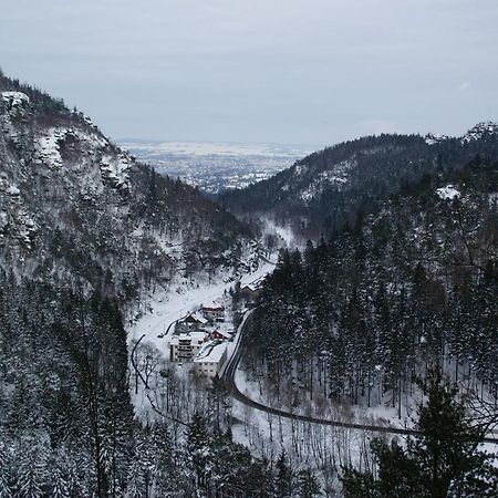 شقة Wohlfuehlzeit Im Zittauer Gebirge المظهر الخارجي الصورة
